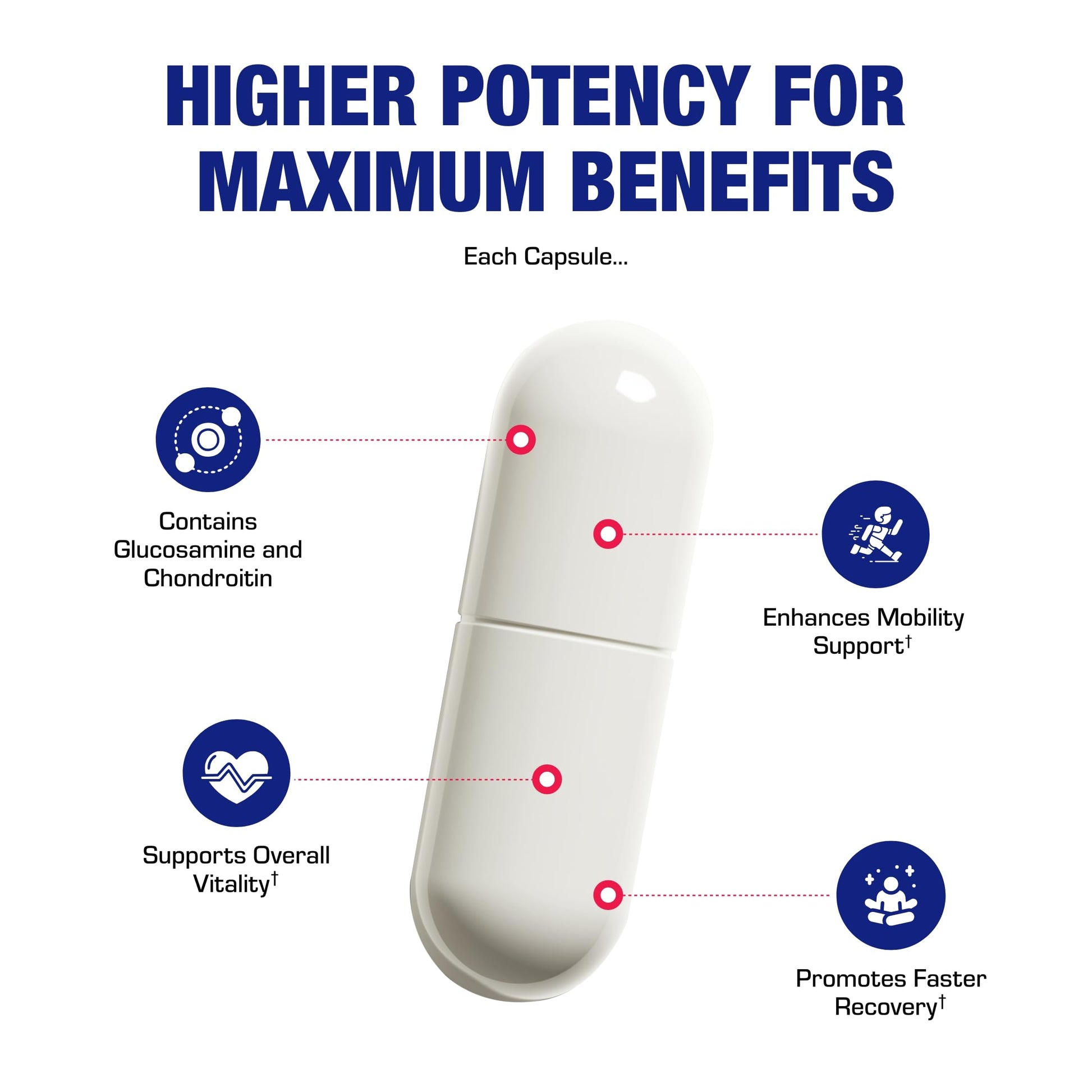 Nutra Disc & Joint Support Supplement - Clinically Formulated Restorative Cartilage Ligament and Tendon Supplement with Patented Meriva Curcumin & Glucosamine and Chondroitin for Adults - 45 Servings Nirvana Guru