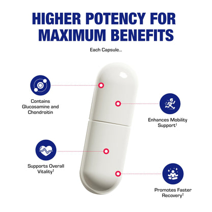 Nutra Disc & Joint Support Supplement - Clinically Formulated Restorative Cartilage Ligament and Tendon Supplement with Patented Meriva Curcumin & Glucosamine and Chondroitin for Adults - 45 Servings Nirvana Guru