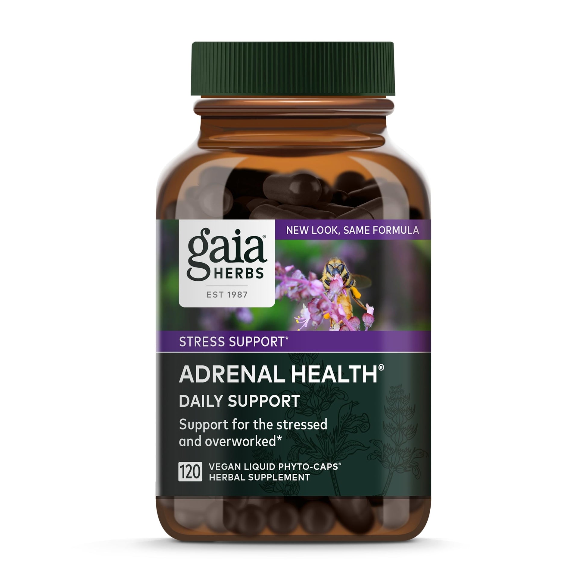 Gaia Herbs Adrenal Health Daily Support - with Ashwagandha, Holy Basil & Schisandra - Herbal Supplement to Help Maintain Healthy Energy & Stress Levels - 120 Vegan Liquid Phyto-Capsules (120 Count) - Nirvana Guru