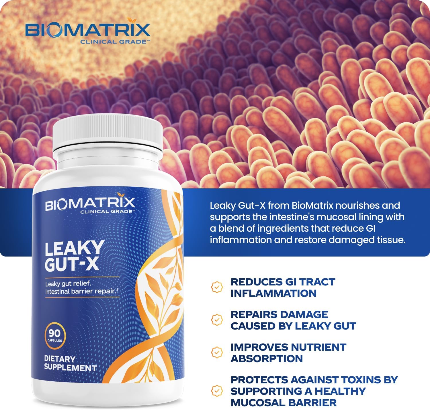 Intestinal Repair Supplement with Glutamine and Herbs for Leaky Gut, Prebiotic Support, Relief from Bloating, Gas, Constipation | SIBO | Veggie Caps | 60-Day Supply – Leaky Gut-X Nirvana Guru
