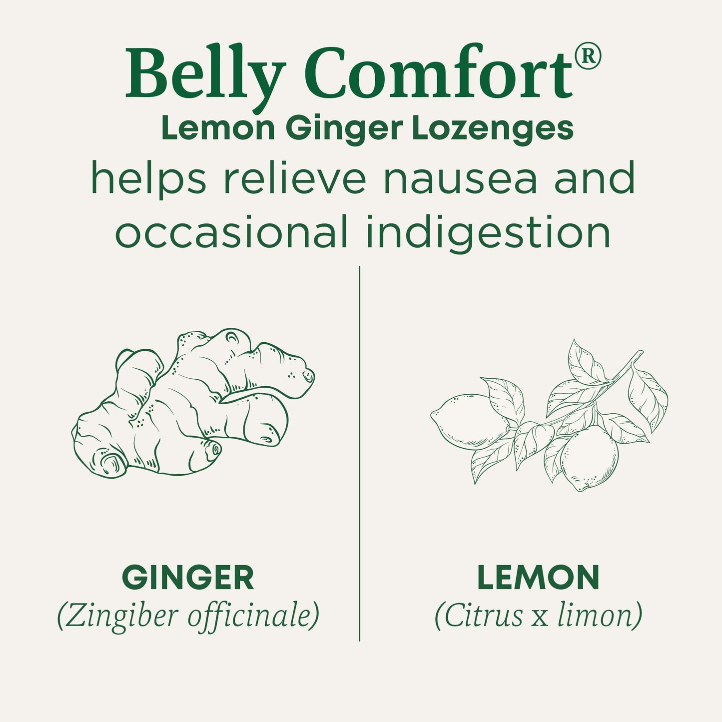 Traditional Medicinals Lozenges, Organic Morning Ease Lemon Ginger, Relieves Nausea & Morning Sickness Associated w/Normal Pregnancy, 30 Individually Wrapped Lozenges - Nirvana Guru