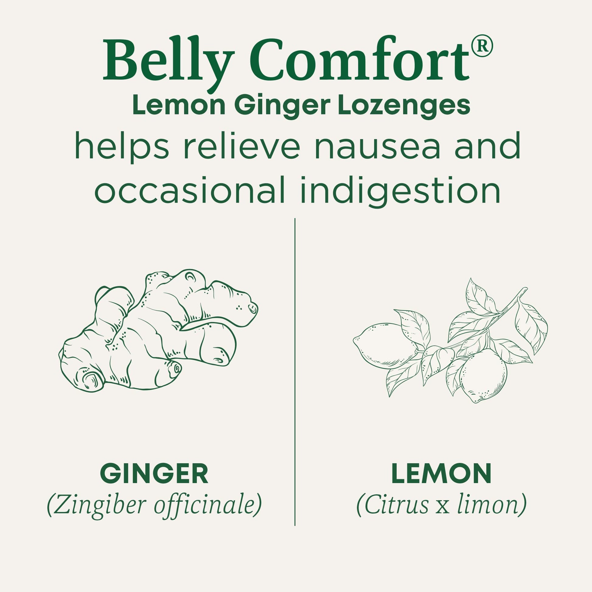 Traditional Medicinals Lozenges, Organic Morning Ease Lemon Ginger, Relieves Nausea & Morning Sickness Associated w/Normal Pregnancy, 30 Individually Wrapped Lozenges - Nirvana Guru