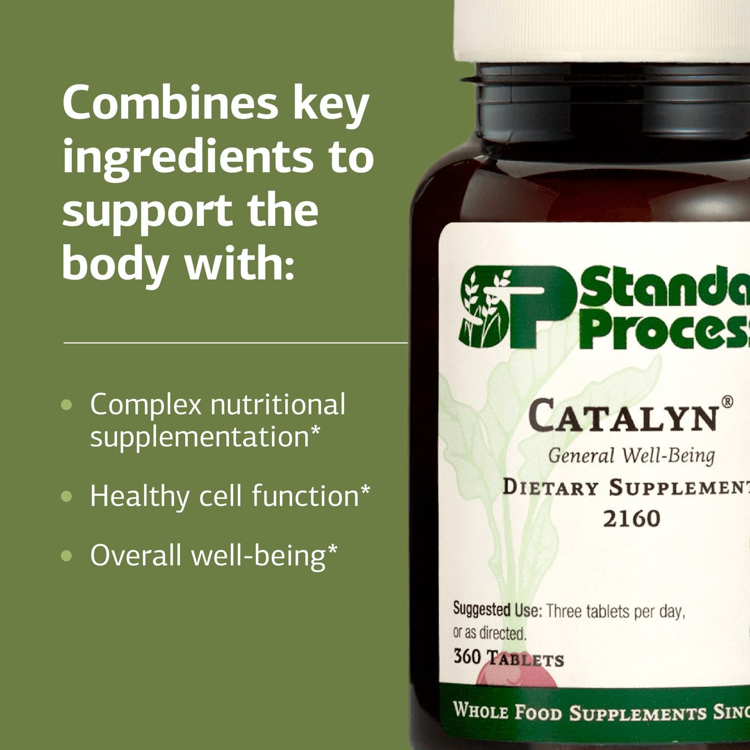 Standard Process Catalyn - Whole-Food Based Foundational Support for General Wellbeing with Vitamins D, C, A & B6, Thiamine, Riboflavin, Magnesium Citrate & More - 90 Tablets Nirvana Guru
