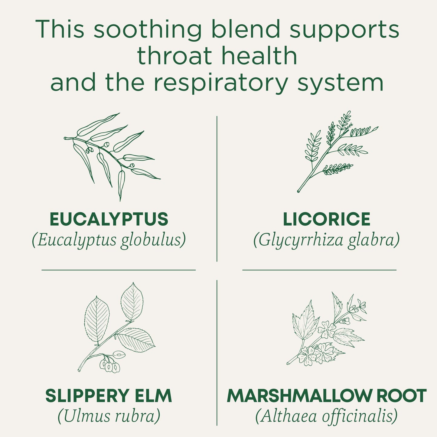Traditional Medicinals Tea, Organic Throat Coat Eucalyptus, Throat and Respiratory Support, 16 Tea Bags - Nirvana Guru