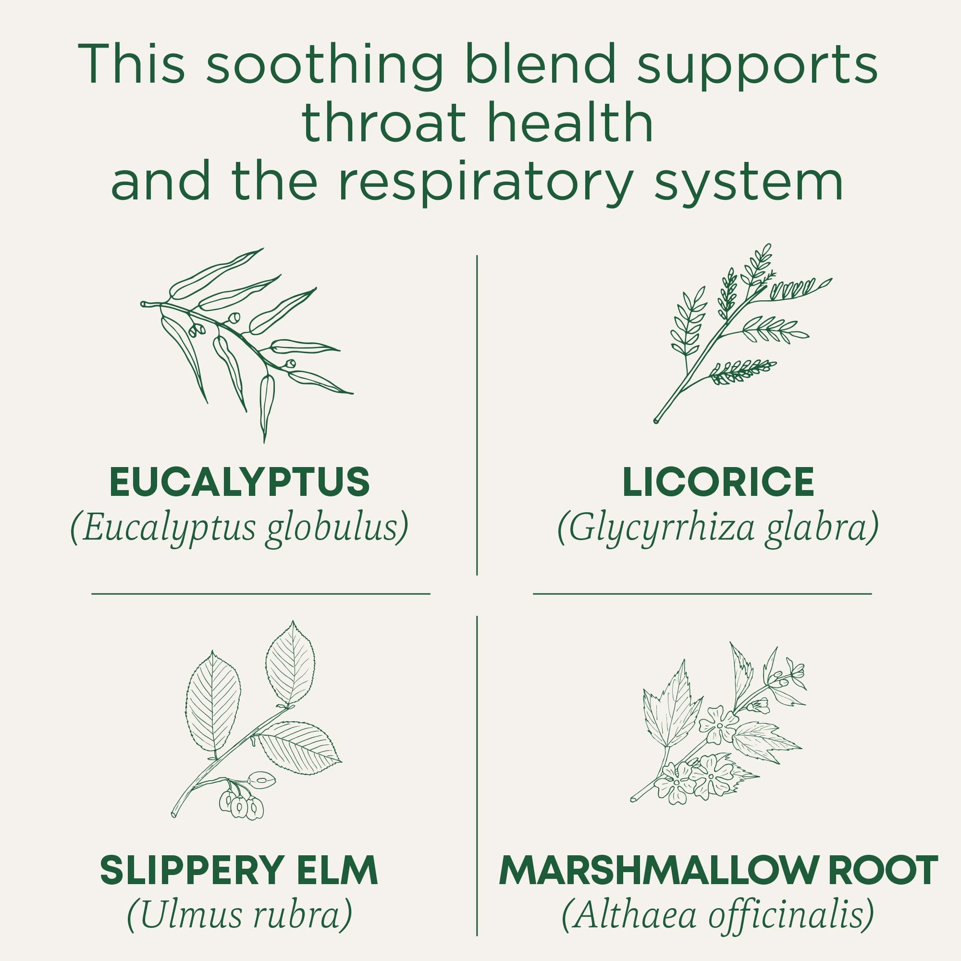 Traditional Medicinals Tea, Organic Throat Coat Eucalyptus, Throat and Respiratory Support, 16 Tea Bags - Nirvana Guru