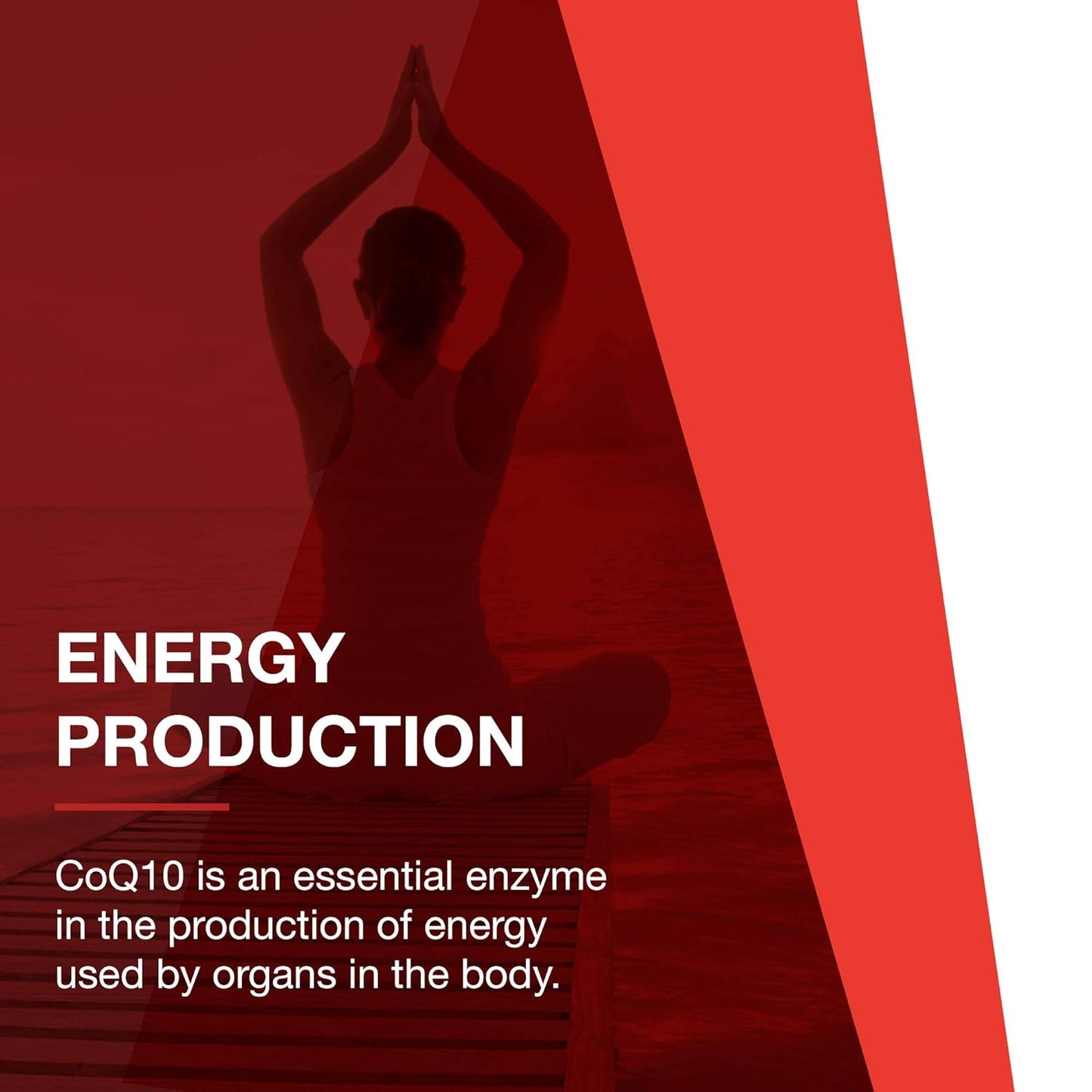 Protocol For Life Balance - Ubiquinol 100 mg - Cardiovascular Support with Active Form of CoQ10, Supports Energy Production, Heart Health, Antioxidant Activity - 60 Softgels Nirvana Guru