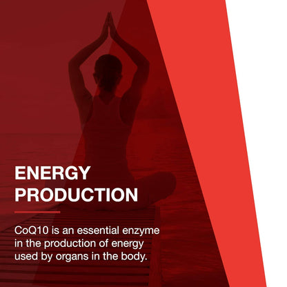 Protocol For Life Balance - Ubiquinol 100 mg - Cardiovascular Support with Active Form of CoQ10, Supports Energy Production, Heart Health, Antioxidant Activity - 60 Softgels Nirvana Guru