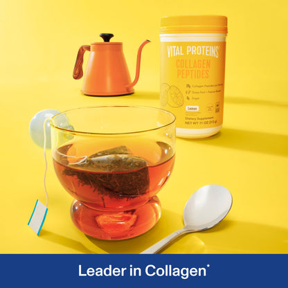 Vital Proteins Collagen Peptides Powder - Supports Hair, Nail, Skin, Bone & Joint Health, Unflavored, Collagen Protein 9.33 OZ - Nirvana Guru