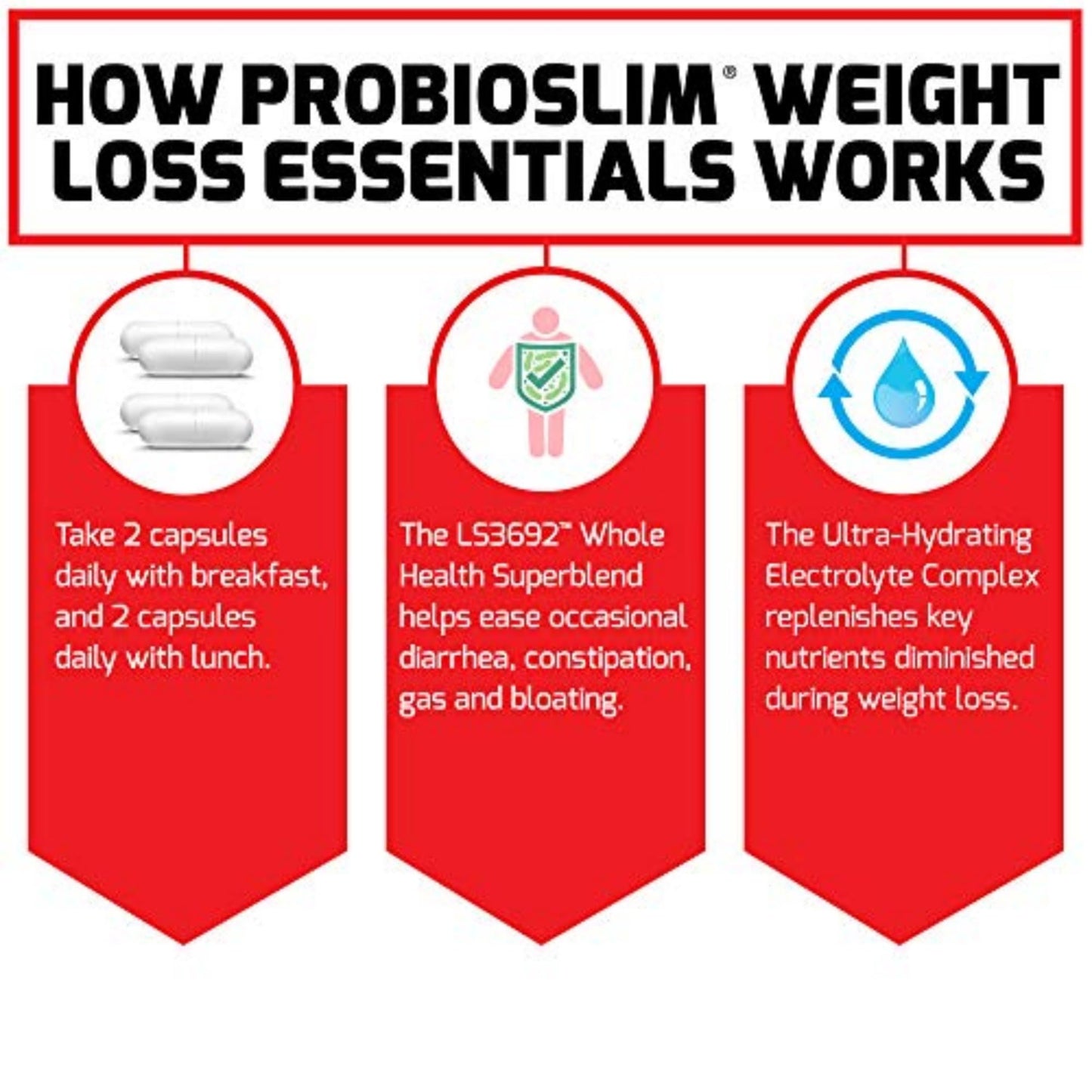 FORCE FACTOR ProbioSlim Weight Loss Essentials Complete Daily Digestive Health and Weight Loss Probiotic Supplement for Women and Men with Electrolytes and Green Tea Extract, 120 Capsules - Nirvana Guru