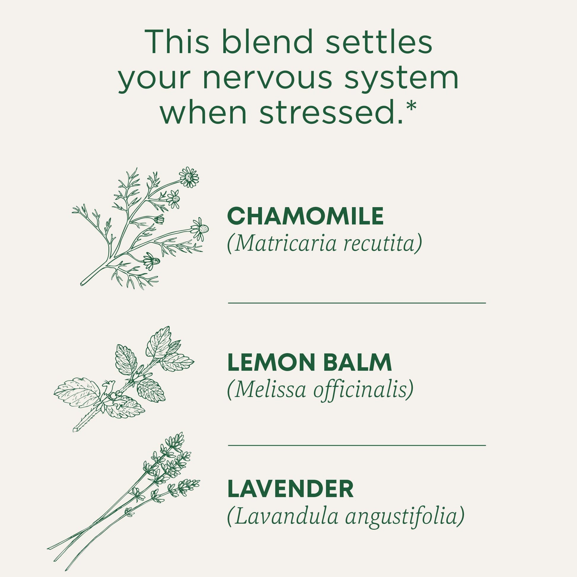Traditional Medicinals Tea, Organic Chamomile, Calming, Calms Your Nerves, Supports Healthy Digestion, 96 Tea Bags (6 Pack) - Nirvana Guru