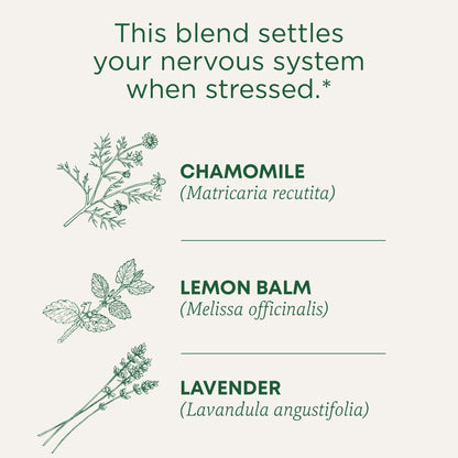 Traditional Medicinals Tea, Organic Chamomile, Calming, Calms Your Nerves, Supports Healthy Digestion, 96 Tea Bags (6 Pack) - Nirvana Guru