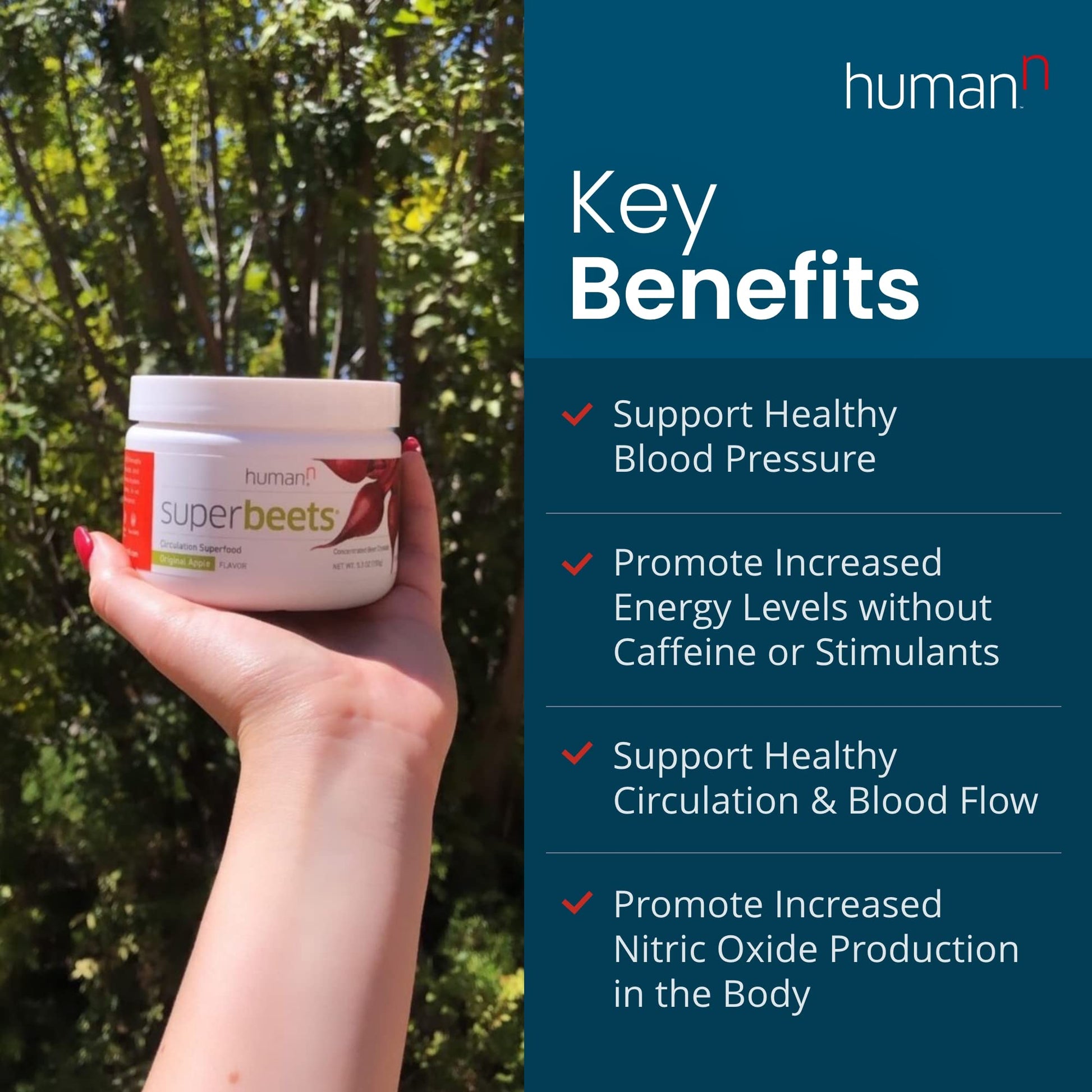 HumanN SuperBeets Beet Root Powder - Non-GMO Beetroot Superfood - Nitric Oxide Supplement for Heart Health, Circulation & Blood Pressure Support - Black Cherry, 30 Servings - Nirvana Guru
