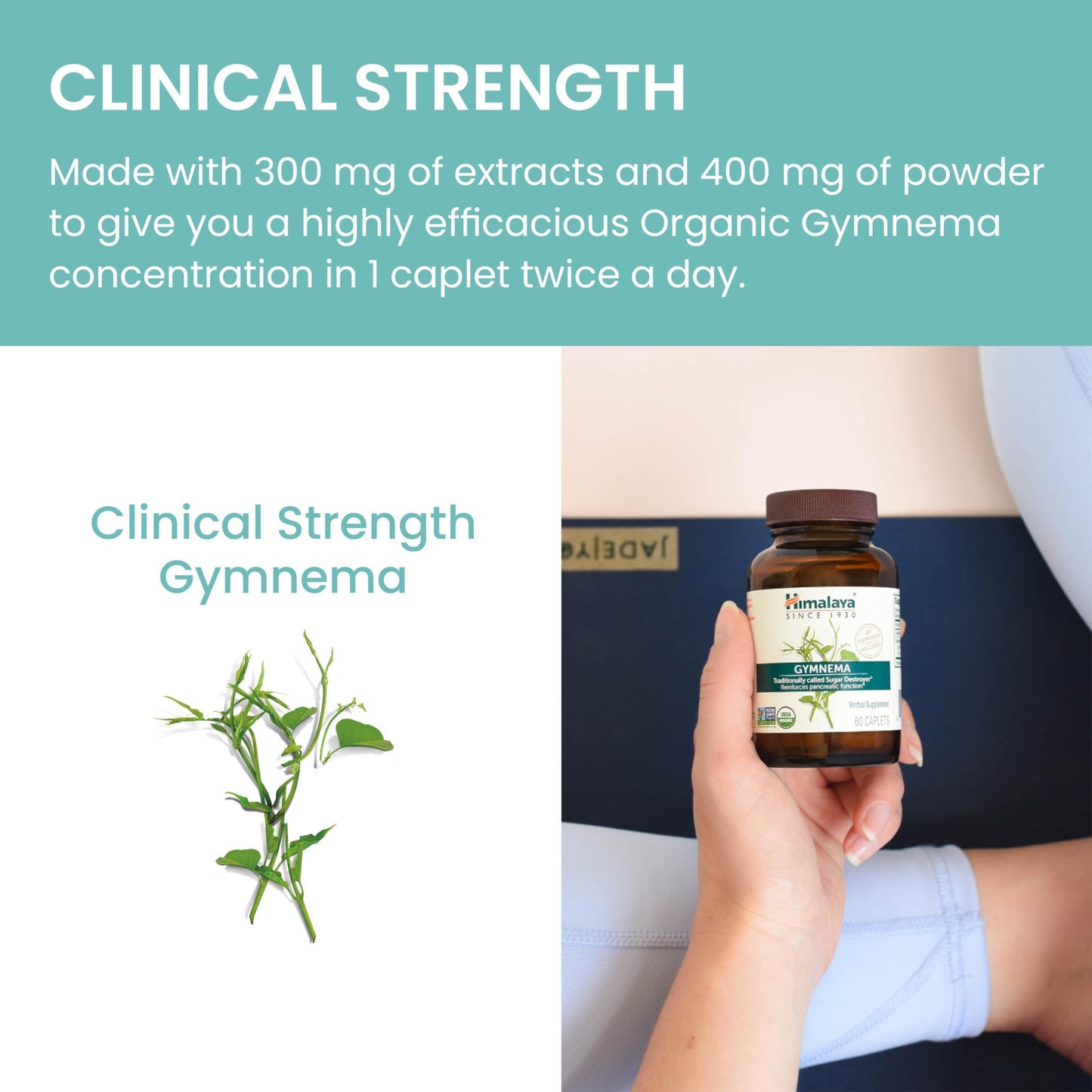 Himalaya Organic Gymnema Sylvestre Herbal Supplement USDA Certified Organic, Non-GMO, 700 mg, 60 Plant-Based Caplets - Nirvana Guru