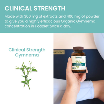 Himalaya Organic Gymnema Sylvestre Herbal Supplement USDA Certified Organic, Non-GMO, 700 mg, 60 Plant-Based Caplets - Nirvana Guru