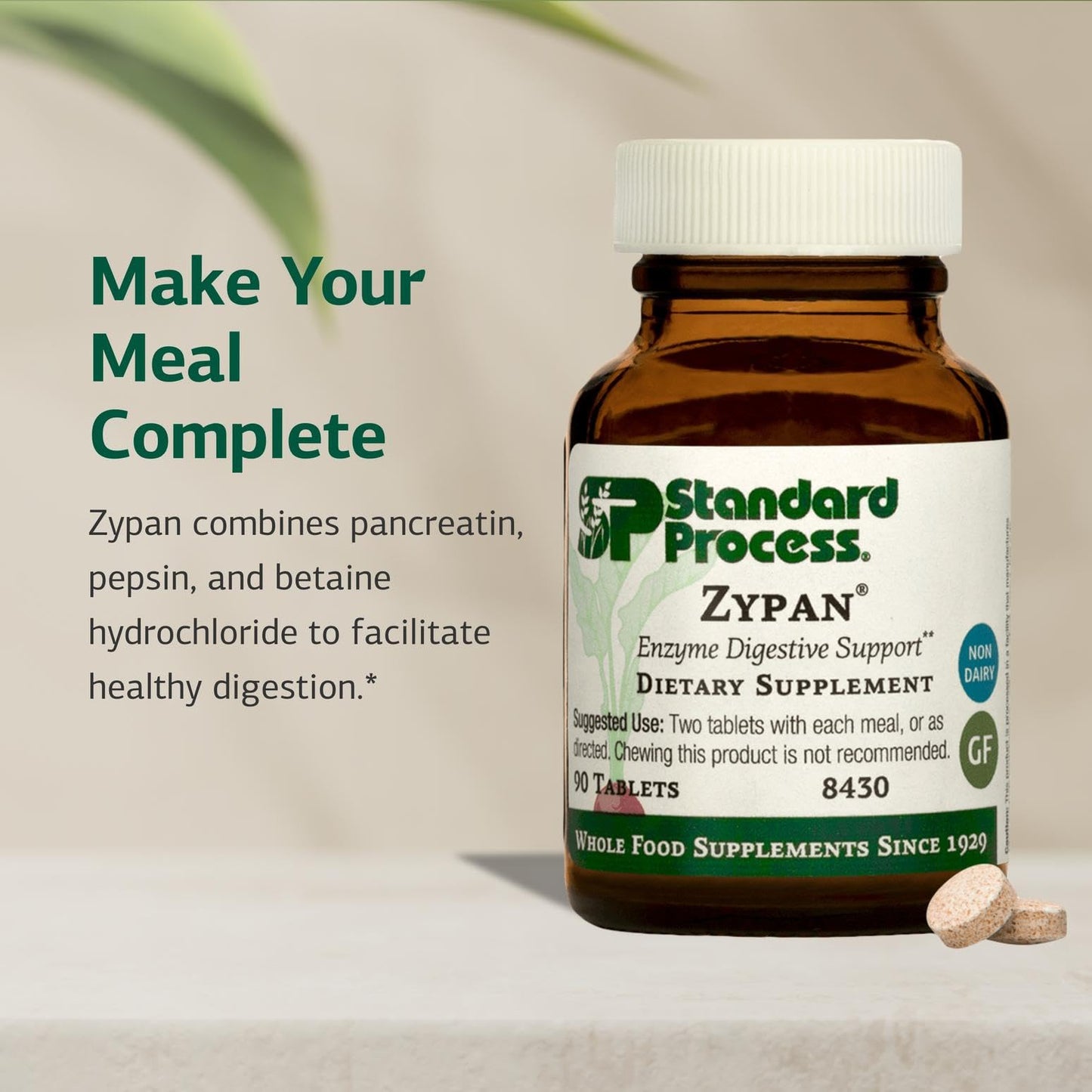 Standard Process Inc. Zypan - Digestive Health Support Supplement - HCI Supplement with Pancreatin, Betaine Hydrochloride & Pepsin - Support Macronutrient Digestion - 330 Tablets Nirvana Guru