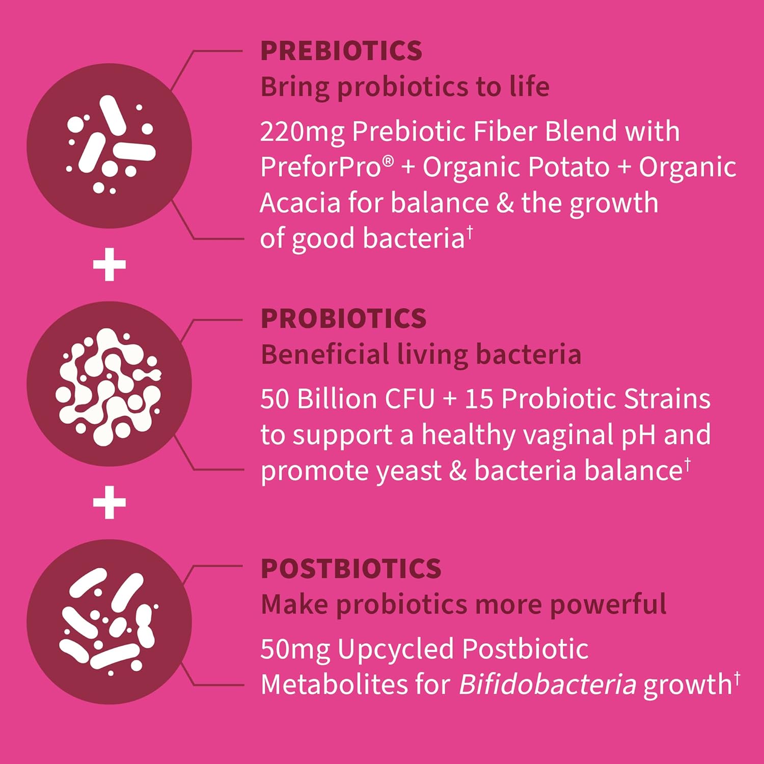Garden of Life Dr Formulated Once Daily 3-in-1 Complete Prebiotics, Postbiotics & Probiotics for Women, PRE + PRO + POSTBIOTIC Supplement for Women’s Digestive, Immune & Vaginal Health, 30 Day Supply - Nirvana Guru