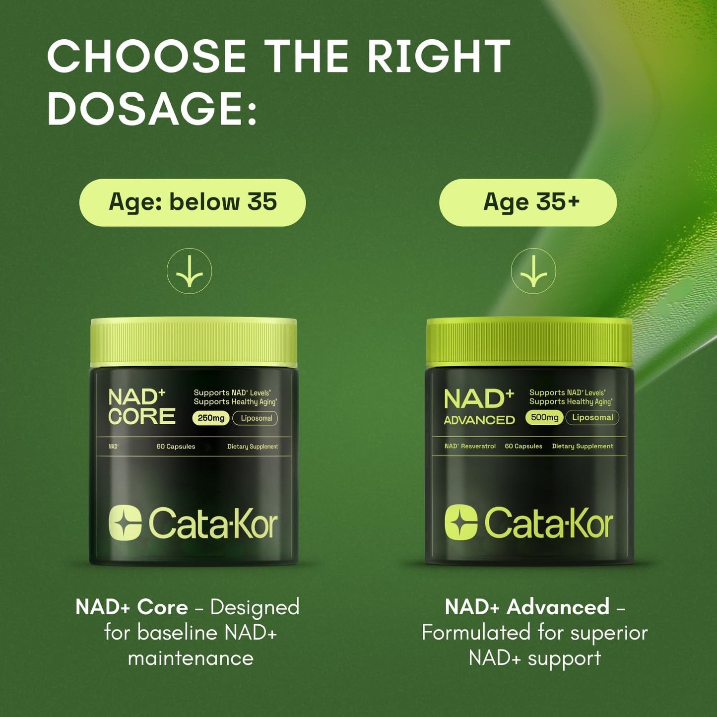 NMNH Supplement Alternative - Liposomal NAD with Resveratrol - High Purity NAD Supplement for Anti-Aging, Energy, Focus - 60 Capsules Nirvana Guru
