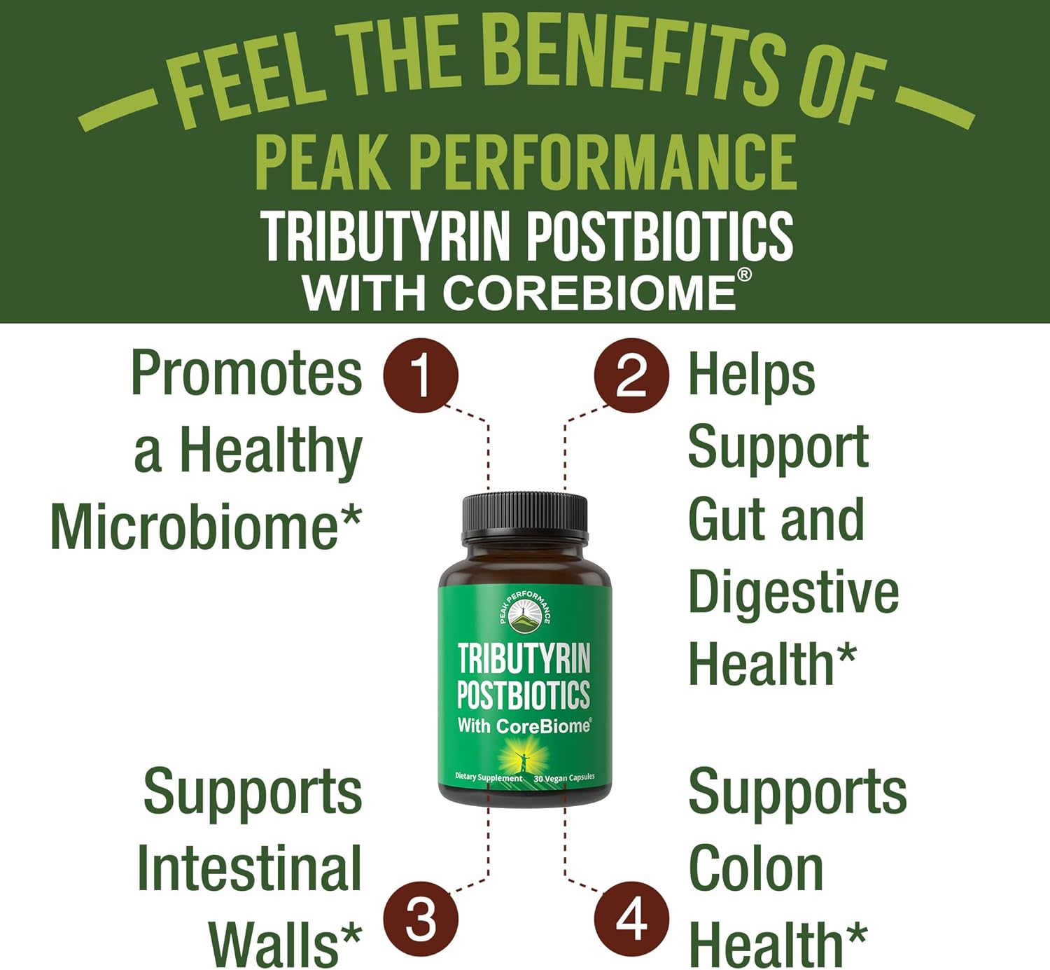 CoreBiome Tributyrin Postbiotic Supplement Clinically Tested For Gut Health. More Effective than Sodium Butyrate Capsules. High Bioavailability Post Biotics For Digestive, Leaky Gut, Colon, Microbiome Nirvana Guru