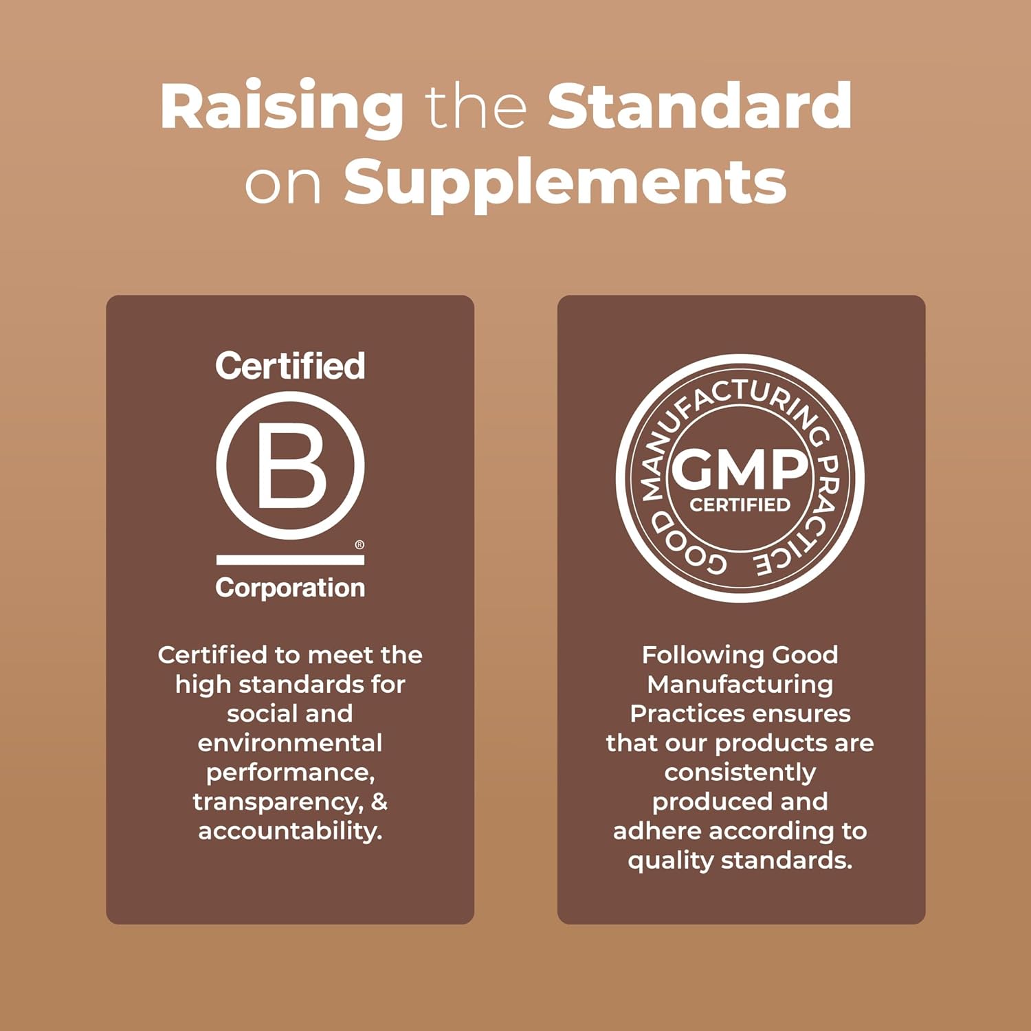 MaryRuth Organics USDA Mushroom Complex | Herbal Liquid Drops | Supplement | Lion's Mane | Reishi Mushroom | Shiitake Mushrooms | Non-GMO | Vegan | Alcohol Free Tincture | 30 Servings - Nirvana Guru