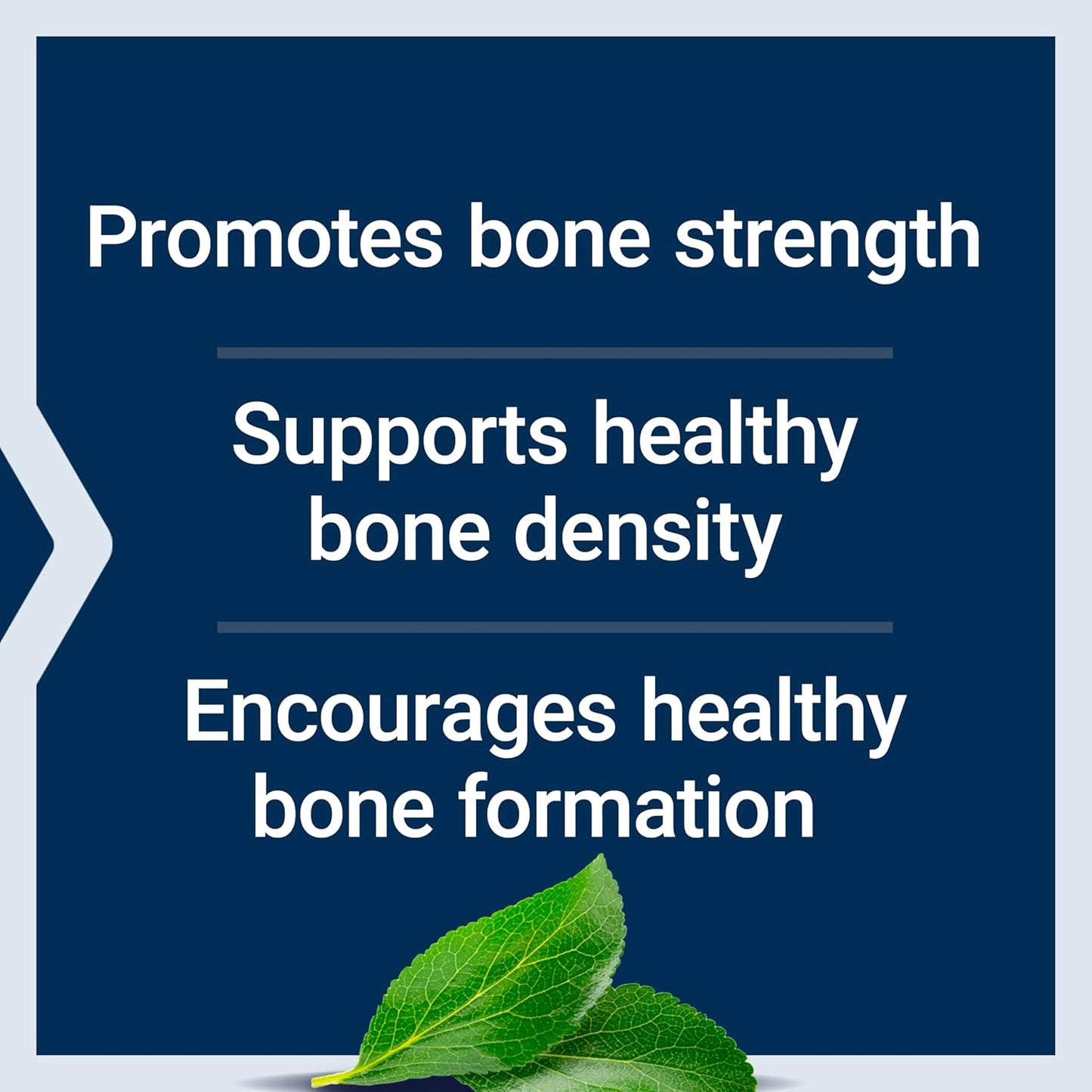 Life Extension Bone Restore + Vitamin K2 Vitamins & Minerals Maintain Bone Health & Strength - Fortifying Nutrients Calcium, D3 & Important Bone Building Minerals - Non-GMO, Gluten-Free -120 Capsules Nirvana Guru
