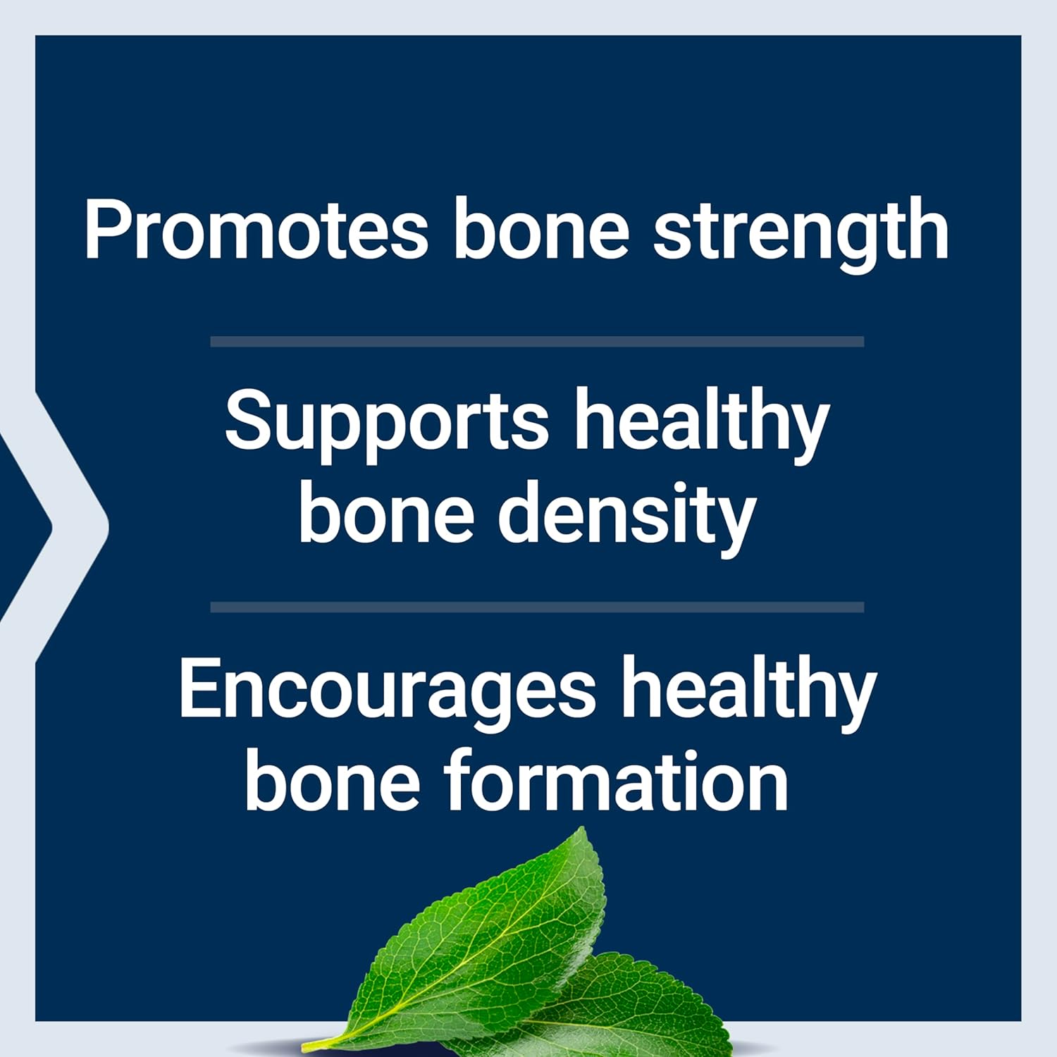 Life Extension Bone Restore + Vitamin K2 Vitamins & Minerals Maintain Bone Health & Strength - Fortifying Nutrients Calcium, D3 & Important Bone Building Minerals - Non-GMO, Gluten-Free -120 Capsules Nirvana Guru