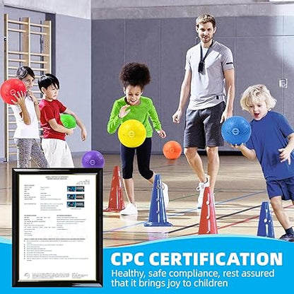 Dodgeballs Playground Balls, Dodge Ball Set for Kids & Adults, Bouncing Kickballs Handball for Outdoor & Indoor Games - Includes Pump & Mesh Storage Bag nirvanaguru