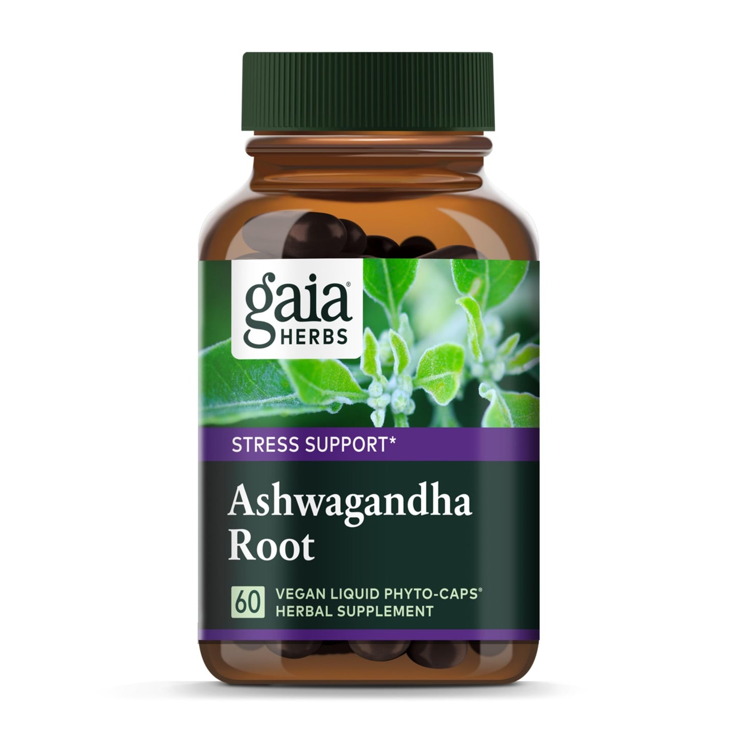 Gaia Herbs Ashwagandha Root - Stress Relief & Immune Support Supplement - Supports Balanced Energy Levels and Positive Outlook - 120 Vegan Liquid Phyto Capsules (1 Pack) Nirvana Guru
