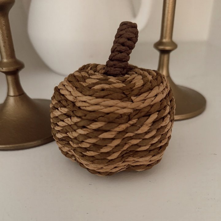 Patterned Woven Pumpkin Natural - Threshold™ nirvanaguru