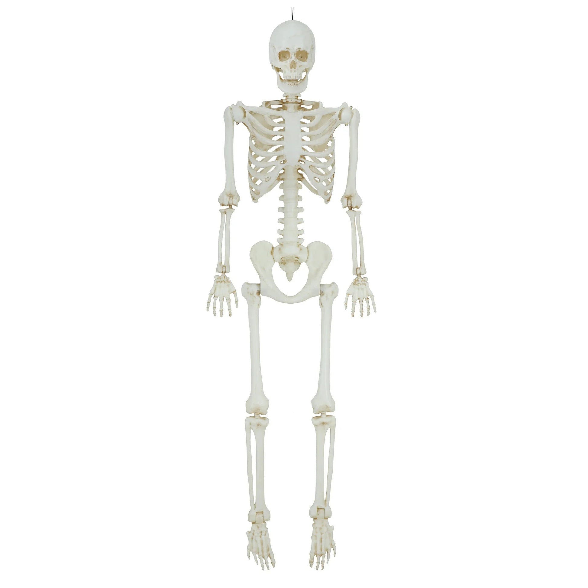 5ft Light Up Poseable Skeleton Decoration, Halloween Outdoor Decor, by Way To Celebrate nirvanaguru
