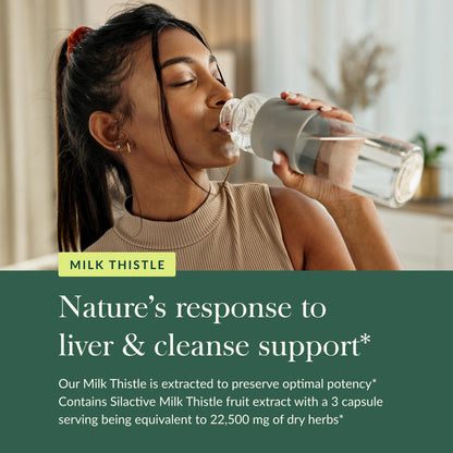 Gaia Herbs Milk Thistle - Liver Supplement & Cleanse Support for Maintaining Healthy Liver Function* - 60 Vegan Capsules (20-Day Supply) - Nirvana Guru