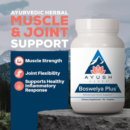 Ayush Herbs Boswelya Plus - Glucosamine Chondroitin Joint Support Supplement, Turmeric Muscle Support for Men & Women, Joint Care with Curcumin - 90 Vegetarian Capsules (1 Count) Nirvana Guru