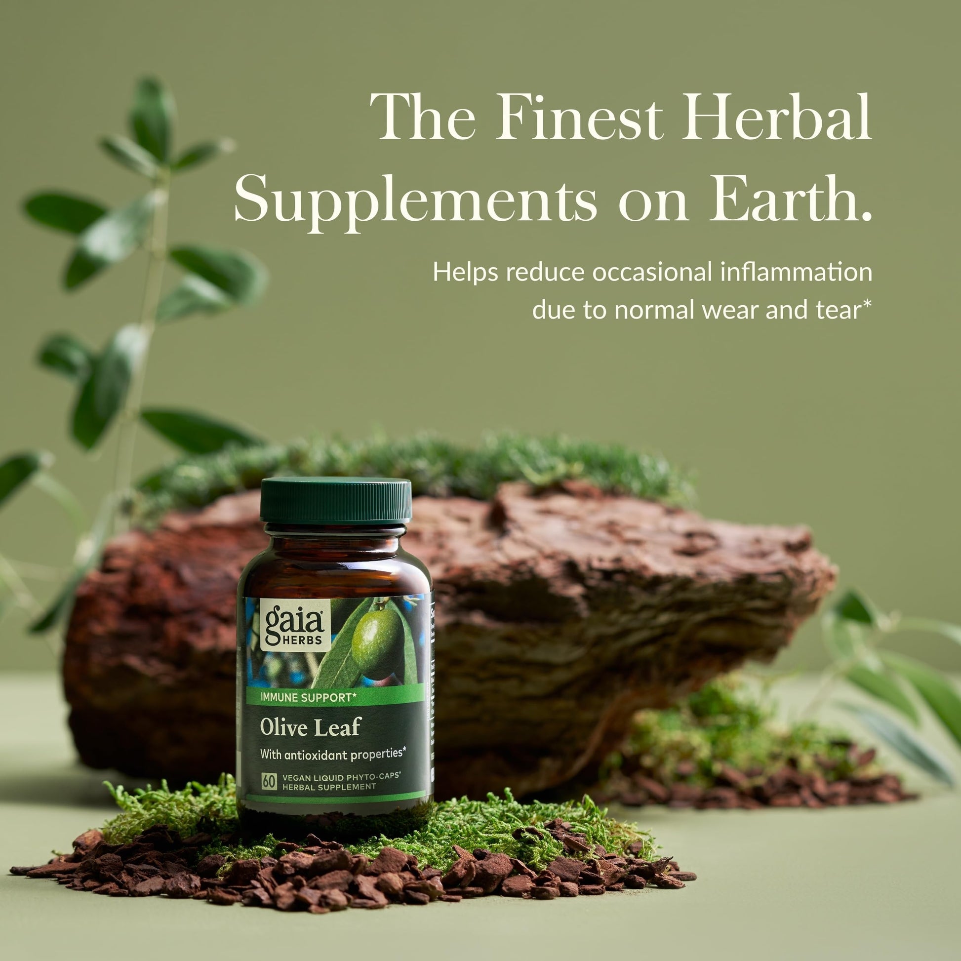 Gaia Herbs Olive Leaf - Traditional Immune Health Support - Immune System Supplement with Olive Leaf Extract and Oleuropein - 120 Vegan Liquid Phyto-Caps - Nirvana Guru