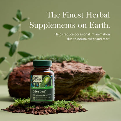 Gaia Herbs Olive Leaf - Traditional Immune Health Support - Immune System Supplement with Olive Leaf Extract and Oleuropein - 120 Vegan Liquid Phyto-Caps - Nirvana Guru
