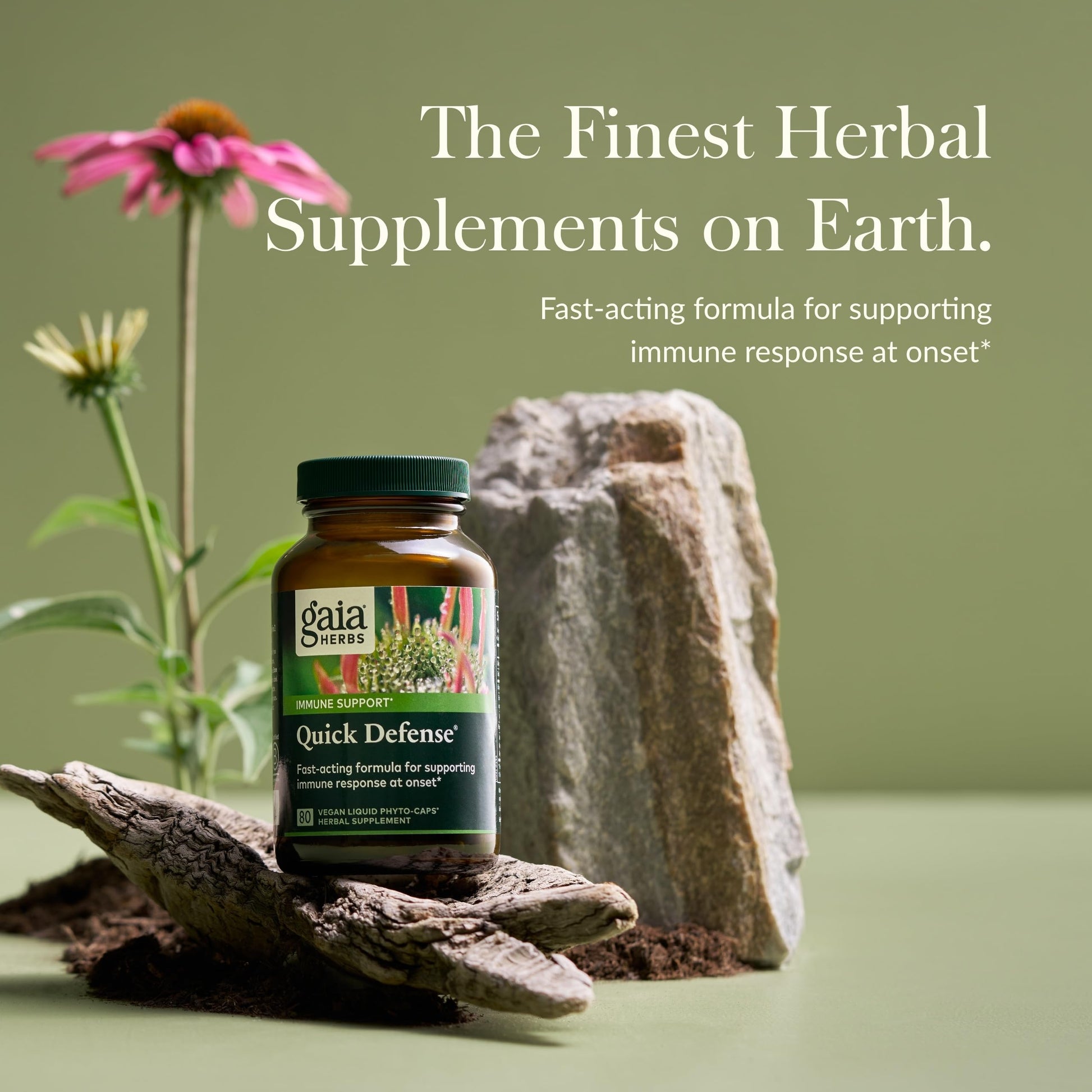 Gaia Herbs Quick Defense - Fast-Acting Immune Support Supplement for Use at Onset of Symptoms - with Echinacea, Black Elderberry, Ginger & Andrographis - 80 Vegan Liquid Phyto-Capsules (8-Day Supply) - Nirvana Guru