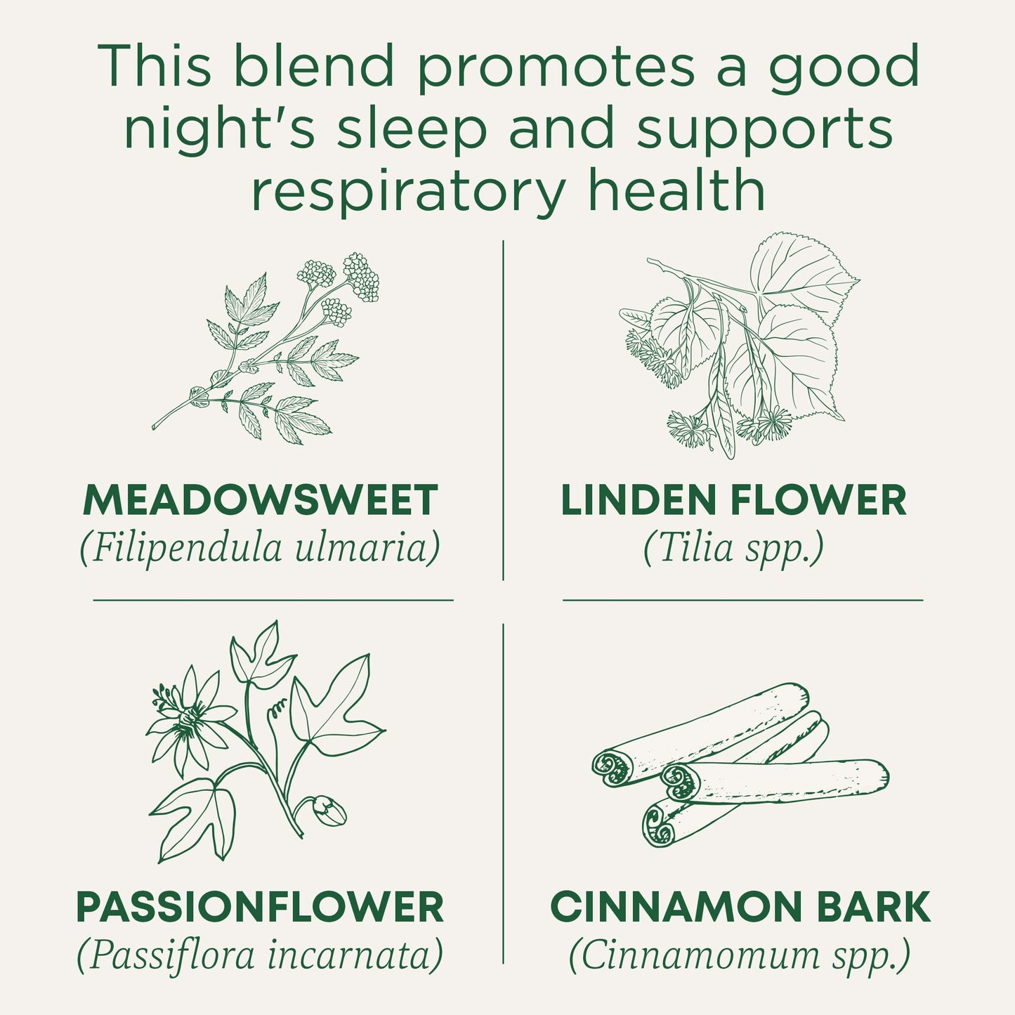 Traditional Medicinals Tea, Organic Cold Care PM, Get a Good Night's Sleep, 16 Tea Bags - Nirvana Guru