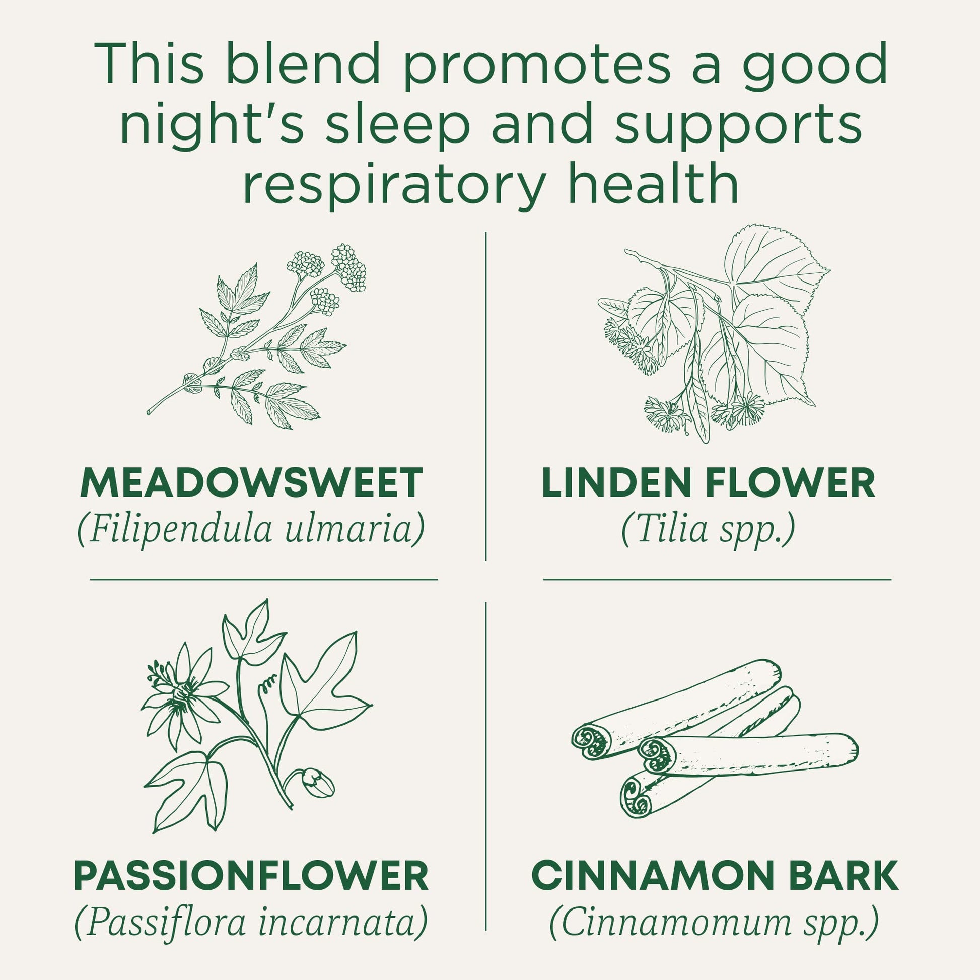 Traditional Medicinals Tea, Organic Cold Care PM, Get a Good Night's Sleep, 16 Tea Bags - Nirvana Guru
