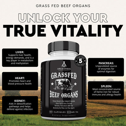 Ancestral Supplements Grass Fed Beef Liver 180 Capsules, Supports Energy Production, Detoxification, Digestion, Immunity and Full Body Wellness, Non-GMO, Freeze Dried Liver Health Supplement