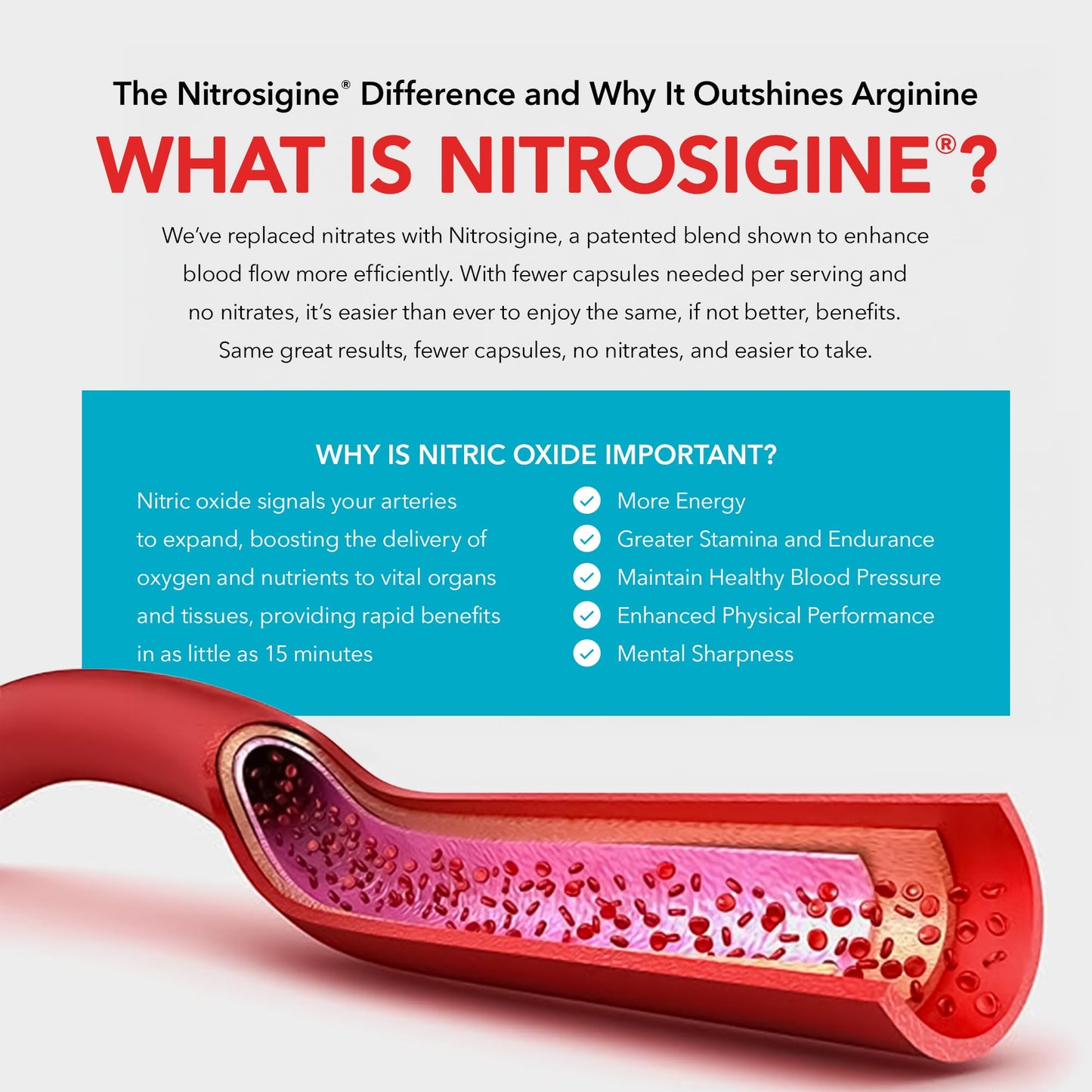 Juvenon BloodFlow-7 Nitric Oxide Supplement with Nitrosigine Nirvana Guru