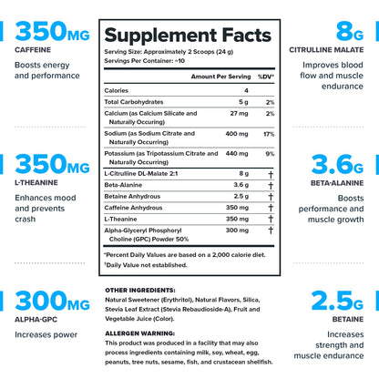 LEGION Pulse Pre Workout Supplement - All Natural Nitric Oxide Preworkout Drink to Boost Energy, Creatine Free, Naturally Sweetened, Beta Alanine, Citrulline, Alpha GPC (Fruit Punch) Nirvana Guru