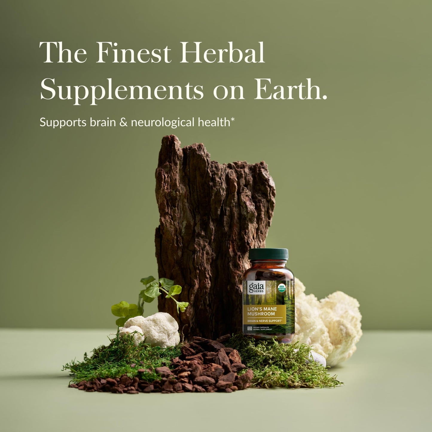 Gaia Herbs Lion’s Mane Mushroom - Brain & Nerve Health Support - 40 Vegan Capsules - Nirvana Guru