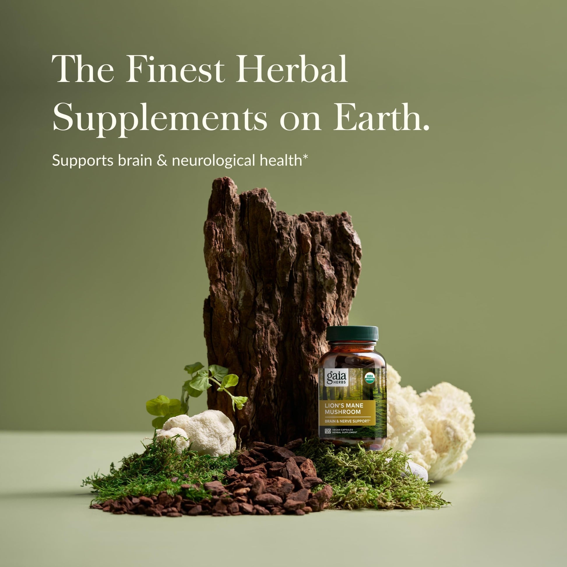 Gaia Herbs Lion’s Mane Mushroom - Brain & Nerve Health Support - 40 Vegan Capsules - Nirvana Guru