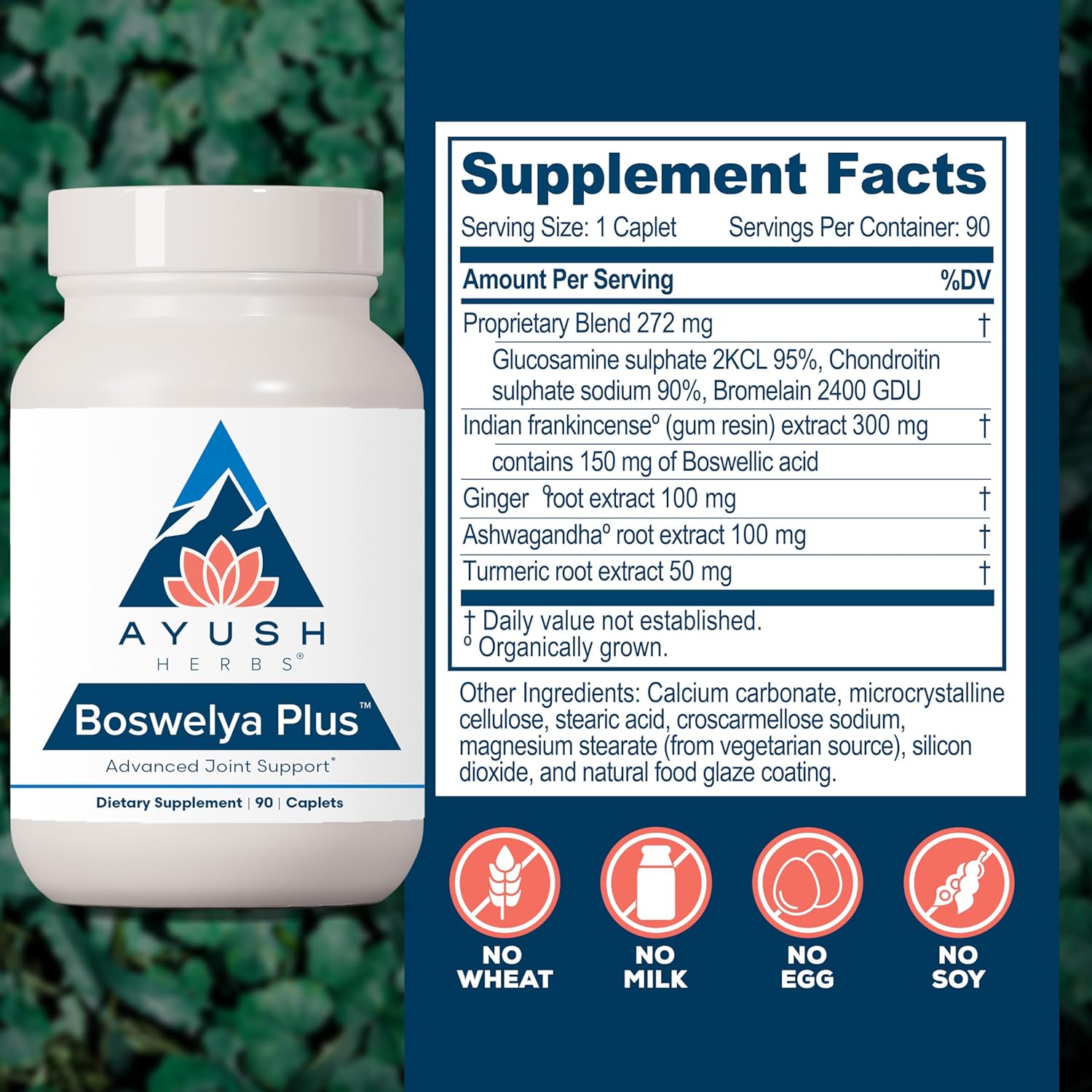 Ayush Herbs Boswelya Plus - Glucosamine Chondroitin Joint Support Supplement, Turmeric Muscle Support for Men & Women, Joint Care with Curcumin - 90 Vegetarian Capsules (1 Count) Nirvana Guru
