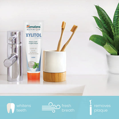 Himalaya Botanique Whitening Antiplaque Toothpaste with Xylitol, Fluoride Free, for Plaque Reduction & Gentle Whitening, 4 oz - Nirvana Guru