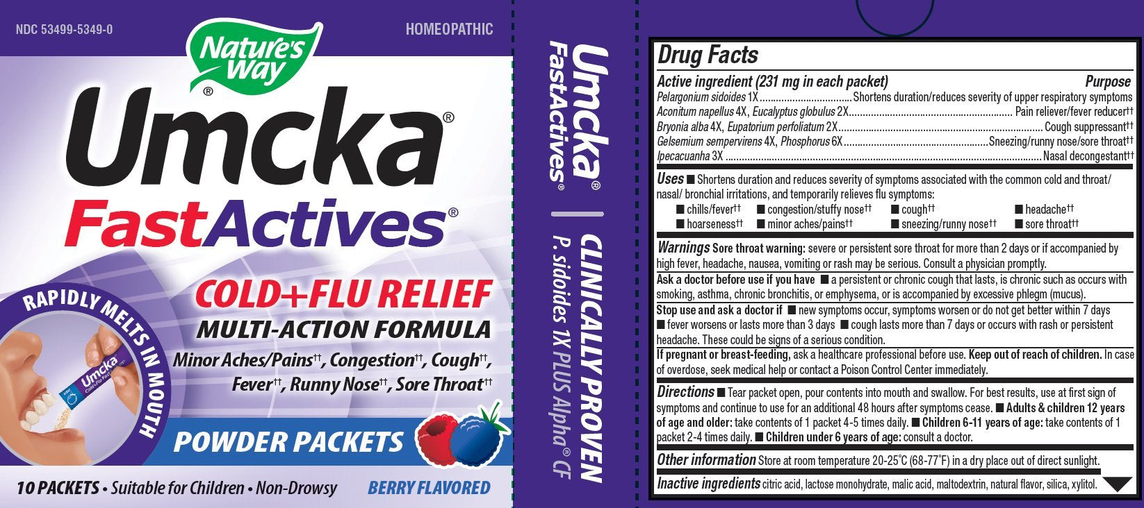 Nature's Way Cold + Flu Relief FastActives, Umcka, Homeopathic, Fever*, Sore Throat, Cough, Congestion, Body Aches*, Phenylephrine Free, Non-Drowsy, Berry Flavored, 10 Packets (Packaging May Vary) - Nirvana Guru
