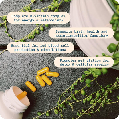 BodyBio - Vitamin B Complex Including B1, B2, B3, B5, B6, Methyl B12, Folinic Acid, 5-MTHF, and B7 to Supports Alertness, Metabolism & Immune System, 90 Capsules Nirvana Guru