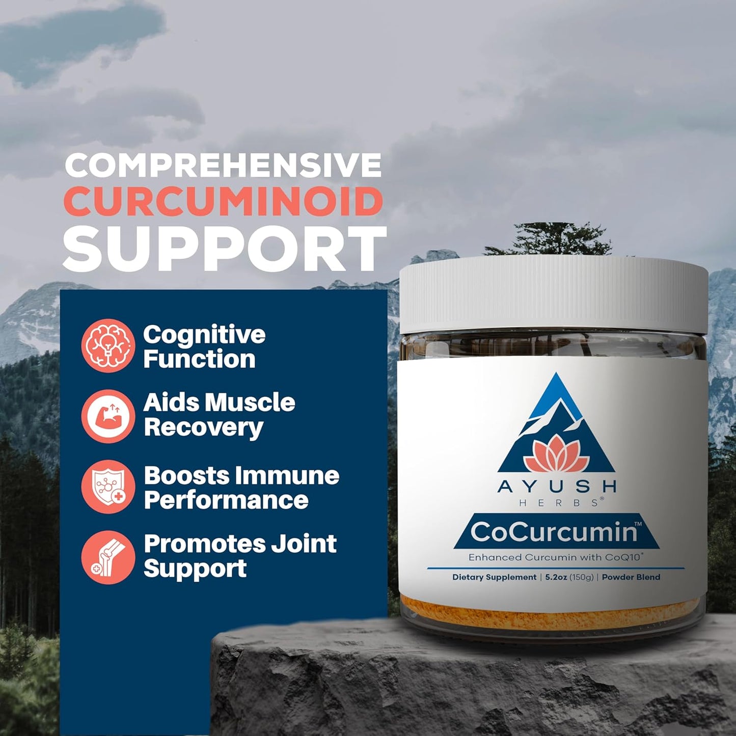 Ayush Herbs CoCurcumin - Turmeric Powder, Curcumin Powder with Black Pepper, CoQ10, MCT Oil for Glowing Skin, Joint, Muscle, and Gut Health - 4.2 Oz Jar (30 Servings) Nirvana Guru
