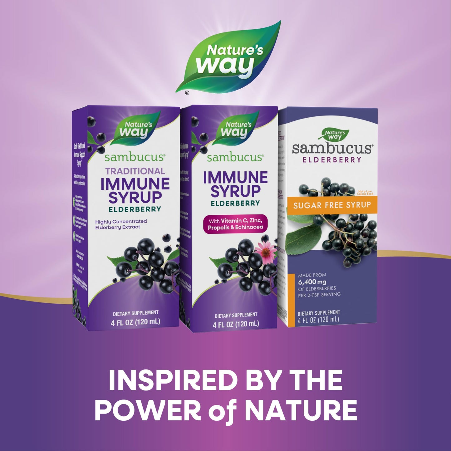 Nature's Way Sambucus Immune Syrup, Elderberry Extract, Vitamin C, Zinc, Echinacea, Propolis, Daily Immune Support*, Antioxidant Support*, Gluten free, Vegetarian, 8 Fl Oz - Nirvana Guru