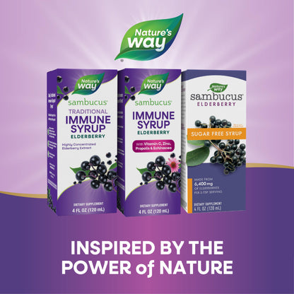 Nature's Way Sambucus Immune Syrup, Elderberry Extract, Vitamin C, Zinc, Echinacea, Propolis, Daily Immune Support*, Antioxidant Support*, Gluten free, Vegetarian, 8 Fl Oz - Nirvana Guru