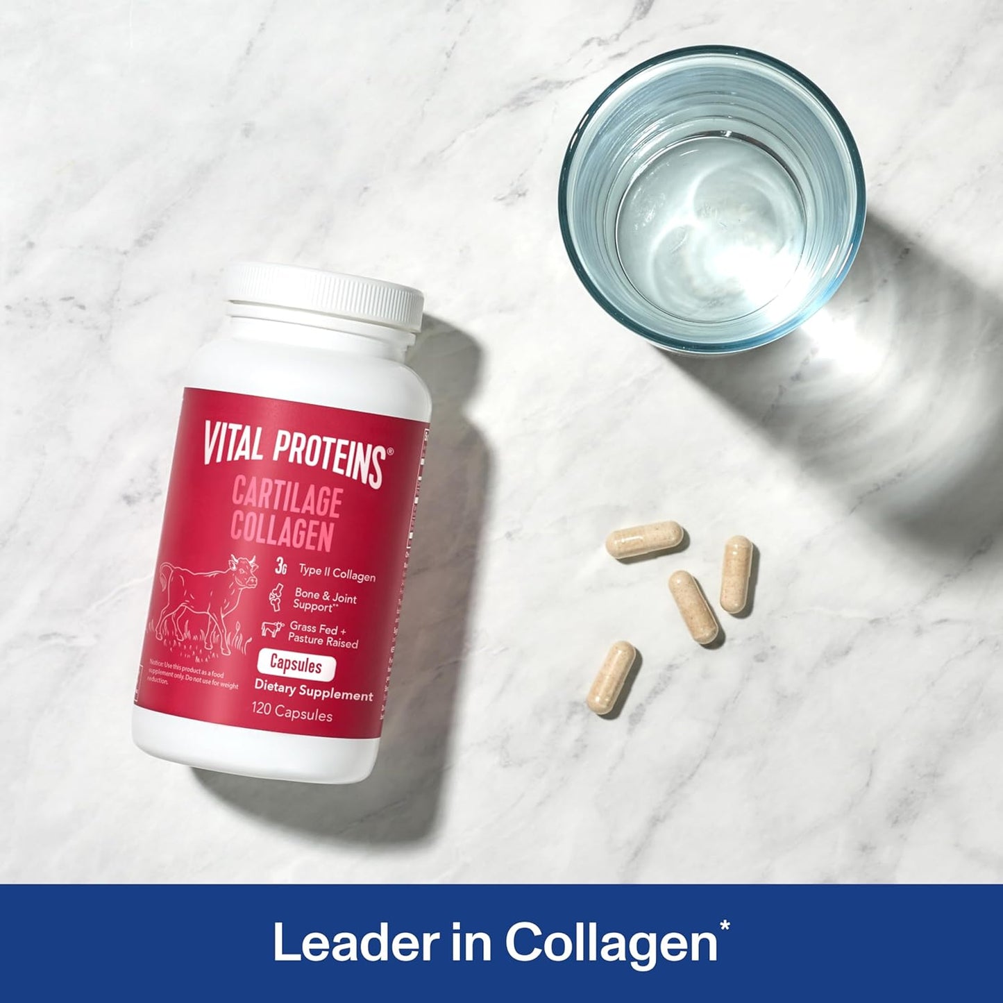 Vital Proteins Cartilage Collagen Pills, Type II Collagen & Chondroitin Sulfate Supplement for Recovery & Healthy Hair, Skin, Nails and Joints - 750 mg Serving with 120 Capsules - Nirvana Guru