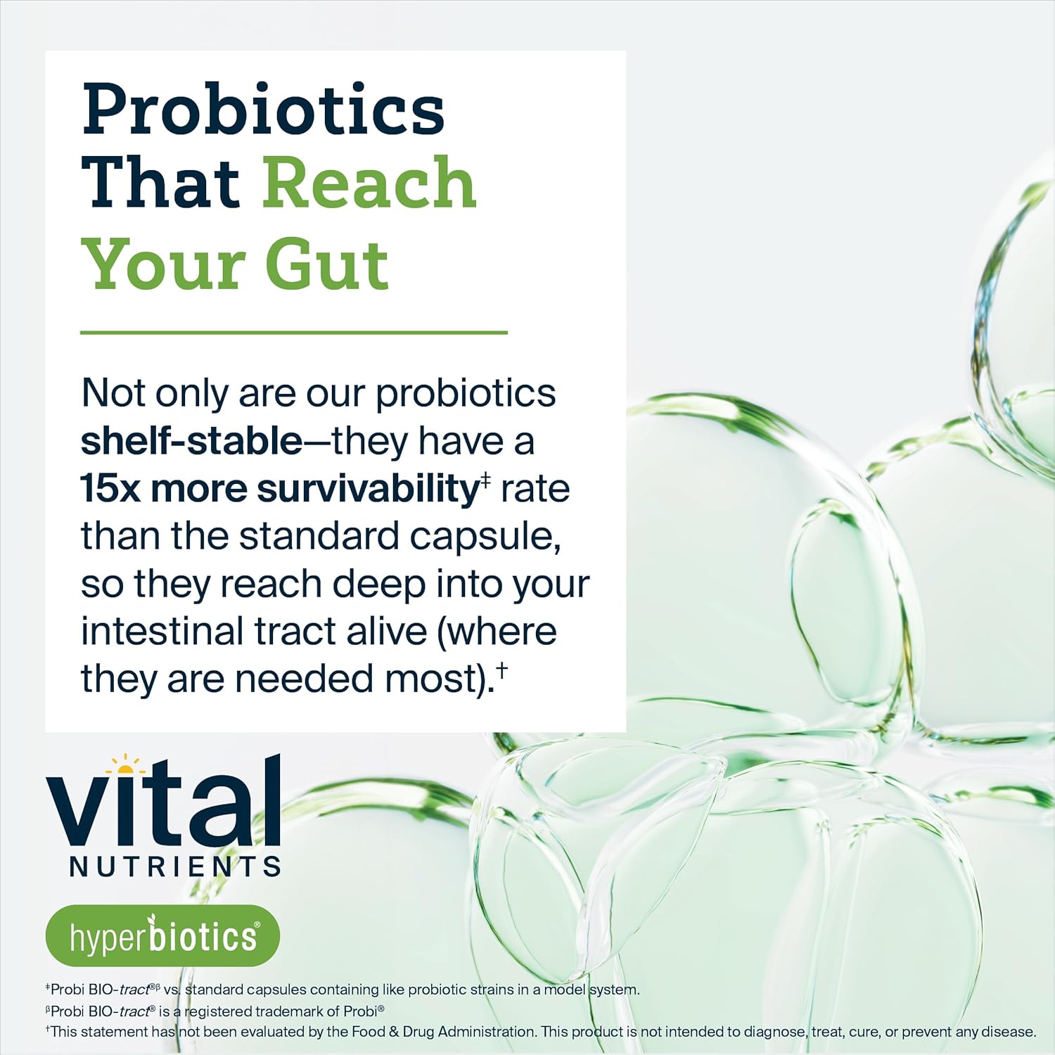Hyperbiotics Vital Nutrients Bifidobacterium Probiotic | 7 Targeted Strains | Supports Immune and Digestive Health for Older Adults | Shelf-Stable | Vegan | 60 Tablets - Nirvana Guru